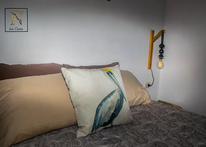 Alquileres de vacaciones en Isla Holbox