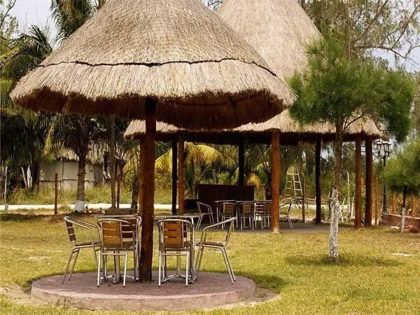 Maya Inn Holbox admite animales