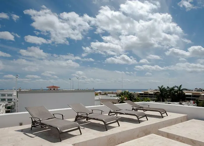Infinito by Zamá Homes Playa del Carmen admite animales