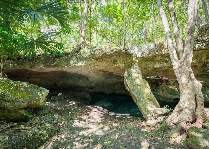 Casa Sol - 1Br Tropical Oasis At Aldea Zama Apartment Tulum