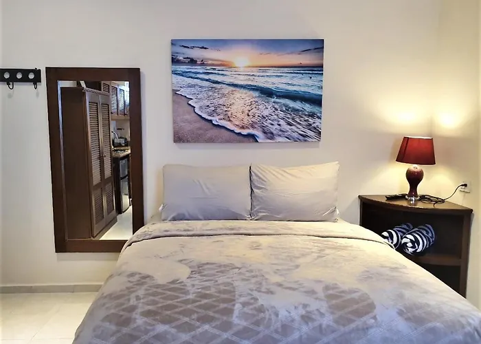 Coralito Malecon Luxury Studio Isla Mujeres che accetta animali